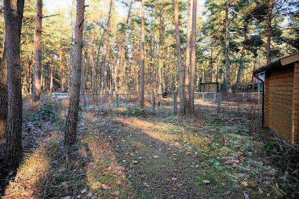 Grundstück vorne (2).JPG