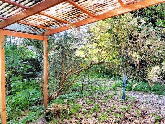 Überdachung m. Blick in den Garten