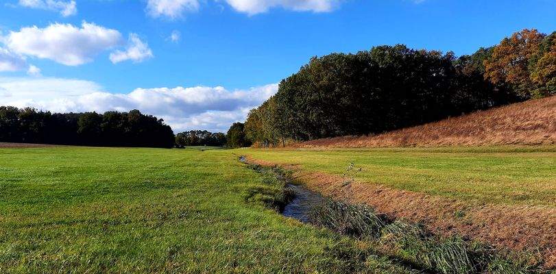 Sommer in Oberreichenbach