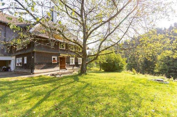 Ansicht nördl. Hofhälfte von Osten