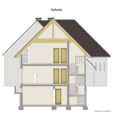 Schnitt