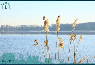 1917 Blick über den See vom eigenen Steg.jpg