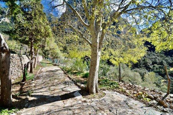 Historische Finca zum Verkauf in Escorca, Mallorca