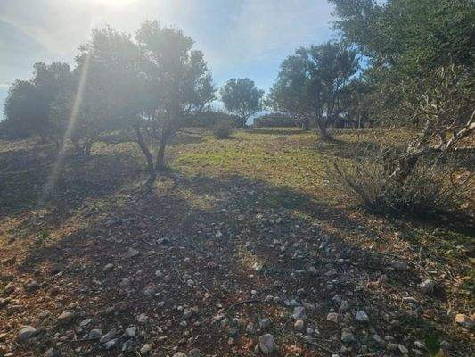 Kreta, Agios Nikolaos: Großes Baugrundstück mit herrlichem Meerblick zu verkaufen