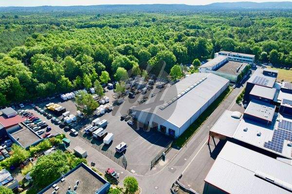 INFOS UNTER: 06171-586000