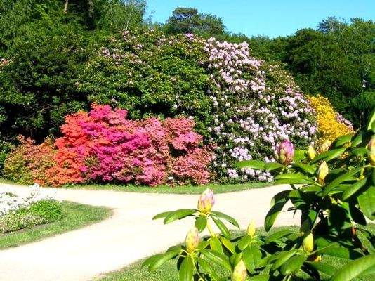RHODODENRONPARK GENIEßEN