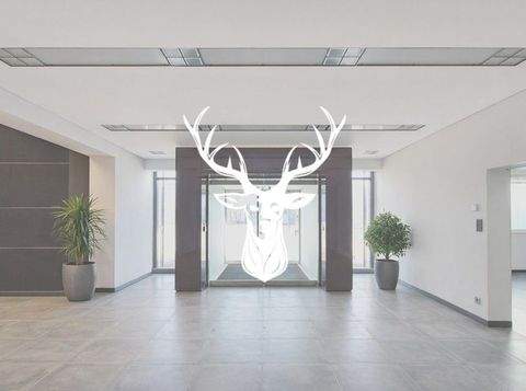 Villingen-Schwenningen Halle, Villingen-Schwenningen Hallenfläche