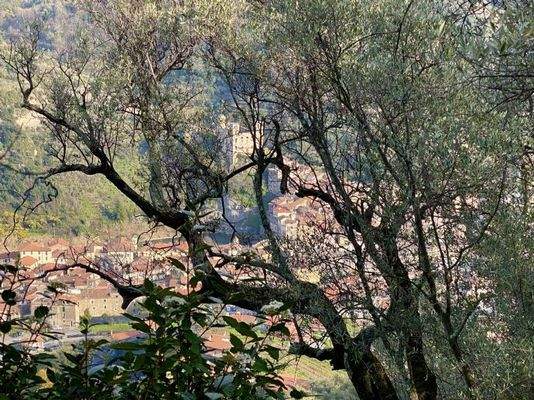 DA812_02 TERRA ITALIA IMMOBILIEN_LIGURIEN_DOLCEACQ