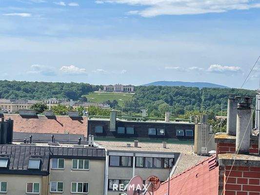 Traumhafter Blick auf Schloss Schönbrunn
