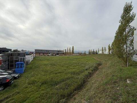 Hard Industrieflächen, Lagerflächen, Produktionshalle, Serviceflächen