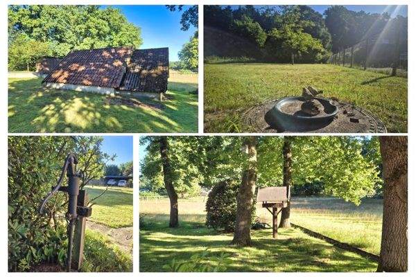 und charmanten Details im Garten