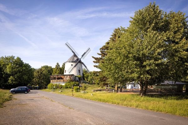 Dresden, Steinbacher Straße 56, Leutewitzer Windmühle, 17.6.2.40-040495