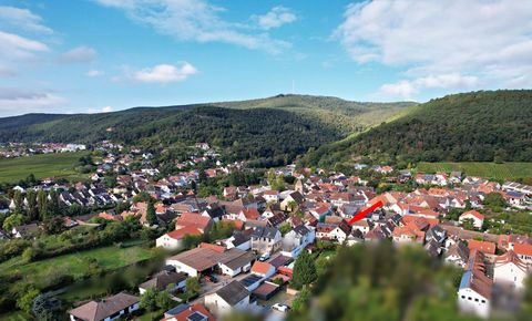 Neustadt an der Weinstraße / Gimmeldingen Häuser, Neustadt an der Weinstraße / Gimmeldingen Haus kaufen