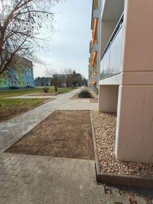 Am Schalm 5 Außenanlage am 10.032026 (6).jpg