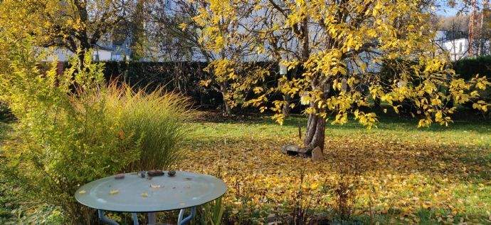 Gartenansicht Herbst