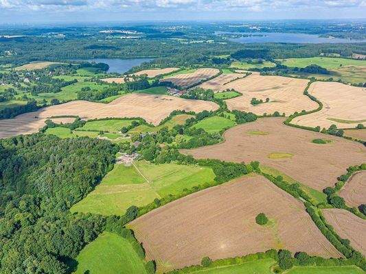 Wie in der Form eines Schmetterlings 