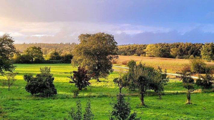 Blick Richtung Westen