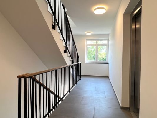 Hochwertiges Treppenhaus/ Aufzug