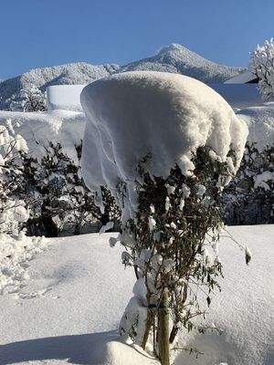 Blick auf den Geierstein