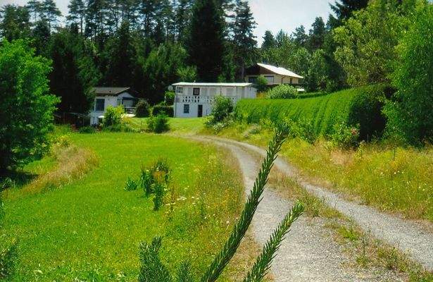 Zum Bungalowgebiet Viernau-Fußberg