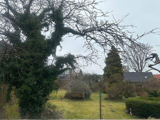 Titelblatt Grundstück.jpeg