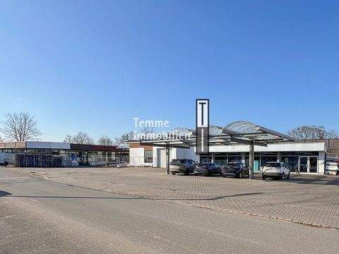 Erlangen Halle, Erlangen Hallenfläche