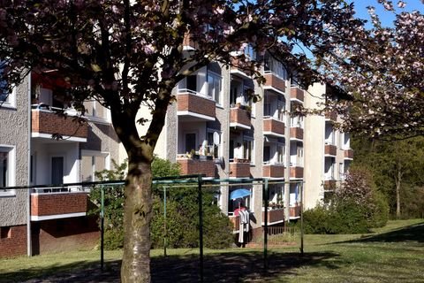Wolfsburg Wohnungen, Wolfsburg Wohnung mieten