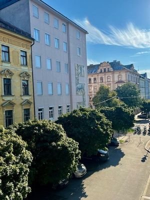 Blick auf die Baumallee der Vierthaler Straße