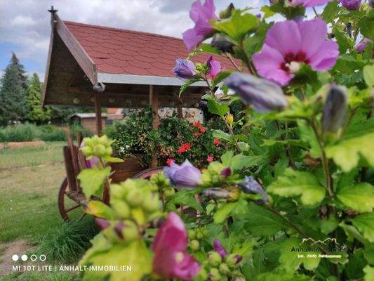 Garten - Teilansicht (4)