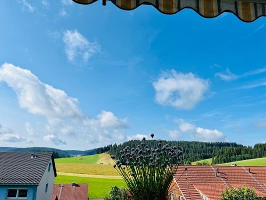Furtwangen 