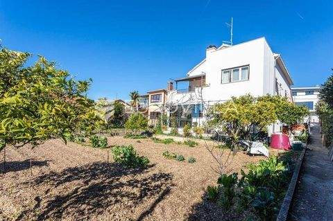 Trogir Häuser, Trogir Haus kaufen