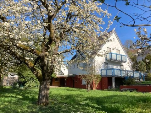 Höchberg Häuser, Höchberg Haus kaufen