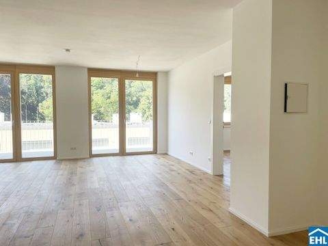 Kaltenleutgeben Wohnungen, Kaltenleutgeben Wohnung mieten