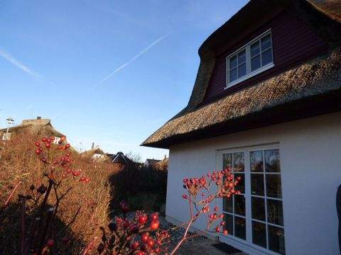 Zinnowitz Häuser, Zinnowitz Haus kaufen