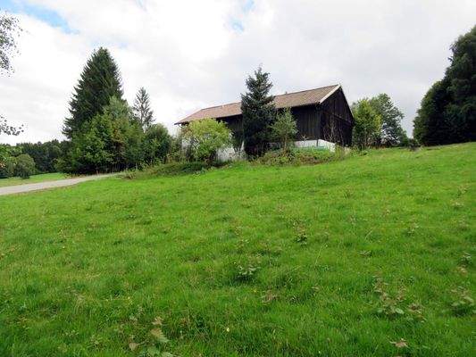 Blick vom unteren Grundstücksrand 