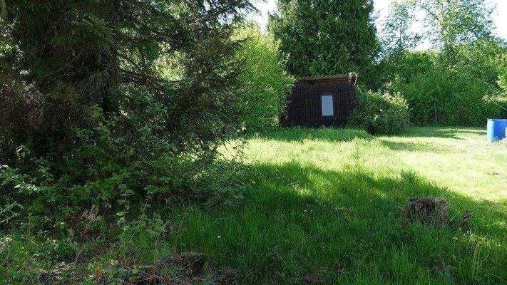 großzügiger Garten