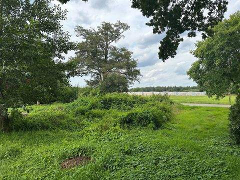 Edewecht Grundstücke, Edewecht Grundstück kaufen