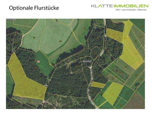 Optionale-Flurstücke-Satellitenbild