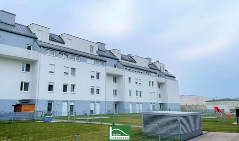 Wiener Neustadt Wohnungen, Wiener Neustadt Wohnung mieten