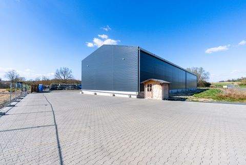 Ebsdorfergrund Halle, Ebsdorfergrund Hallenfläche