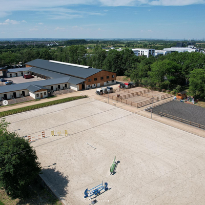 Screenshot 2025-07-15 at 07-32-16 Horse Consult Sc