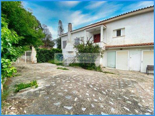 d884ca92c3f14b3d84b1a17e6fc9a893-original