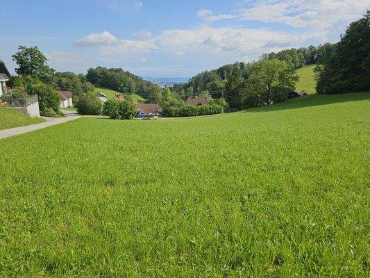 lockeres Siedlungsgebiet am Standort