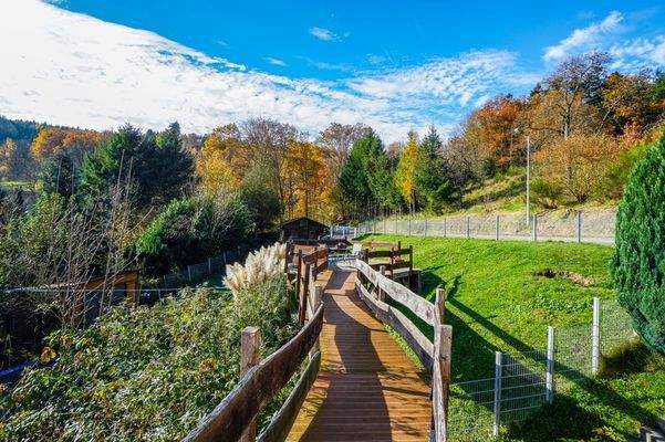 Gartenterrasse mit Stegzugang