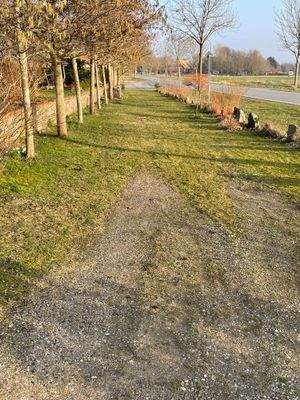 vorderer Grundstücksbereich zur Straße gelegen