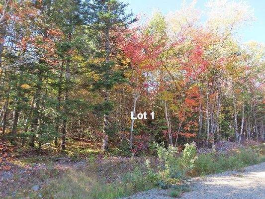 Nova Scotia - West Side Country Harbour - Preiswer