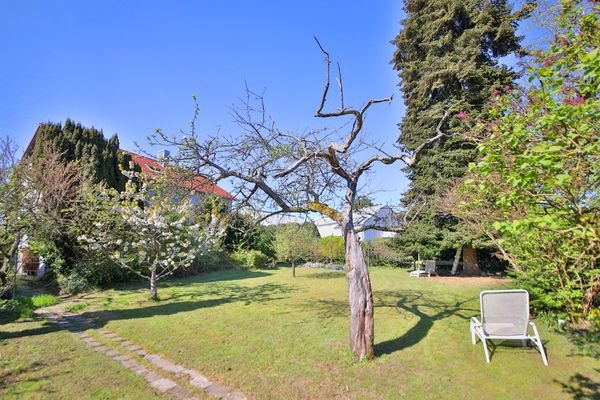 Schöner großer Garten