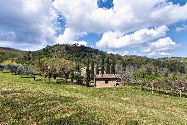 PHOTO-2025-05-26-20-54-24 6.jpg