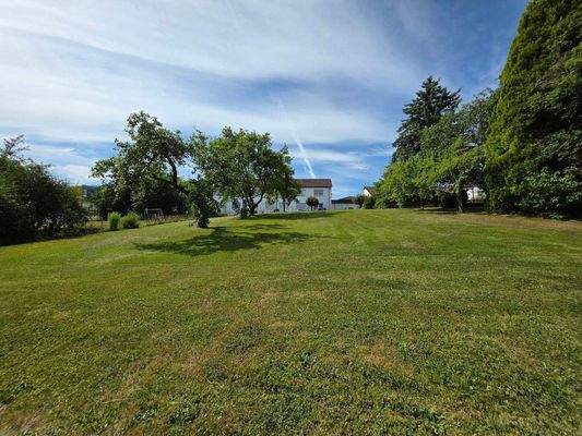 Blick vn der Terrasse auf das Grundstück.jpg