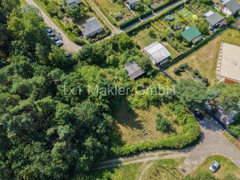 Schwerin Häuser, Schwerin Haus kaufen